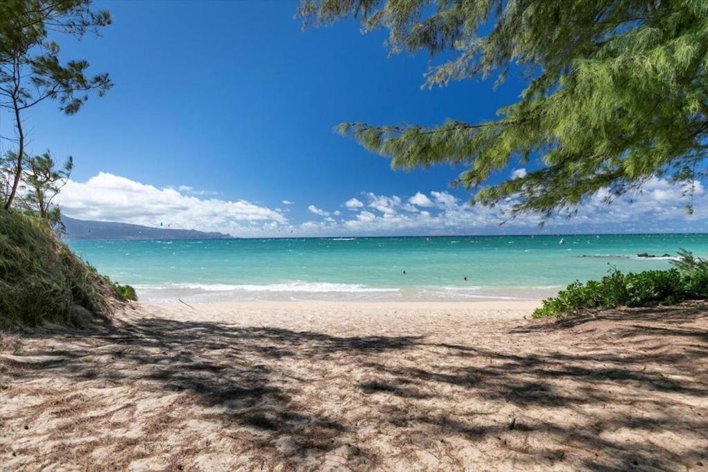 Unit 12 Maui Ohana Modern *